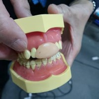 西村式顎関節症治療実践セミナー « 寺浦歯科医院ブログ